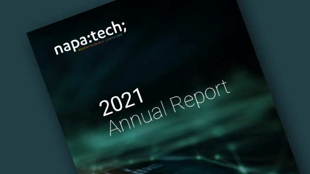 Napatech Annual Report