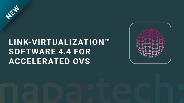 Link-Virtualization™ Software